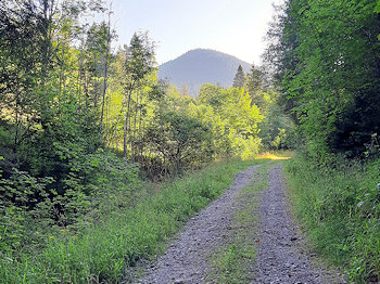 bild001