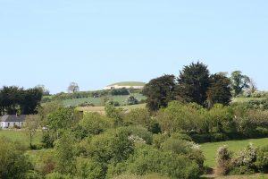 Megalithgrab Newgrange