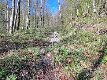 bild01