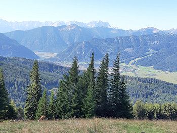 bild010