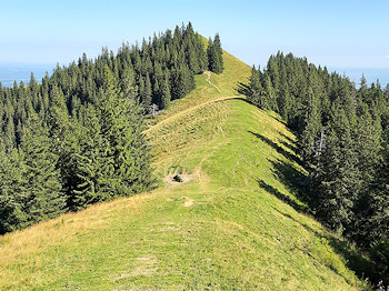 bild014