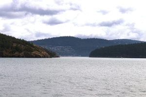 Blick zurück