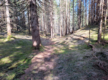 bild022