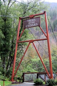 Eingang zum Trail of the Cedars, einem Naturlehrpfad