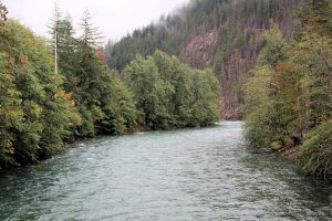 Skagit River