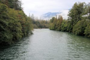 Skagit River