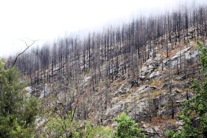 Auf der anderen Seite des Tals gab es einen Waldbrand