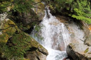 Ladder Creek