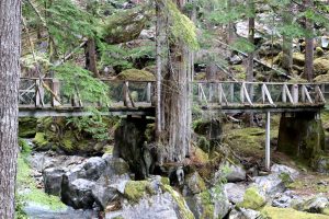 Der Ladder Creek Trail