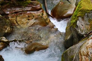 Ladder Creek