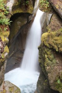 Ladder Creek Fall