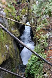 Ladder Creek