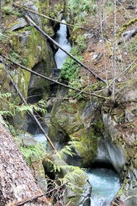 Ladder Creek
