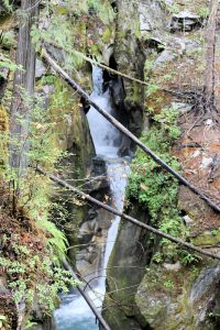 Ladder Creek