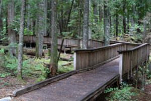 Happy Creek Forest Walk And Falls Trail