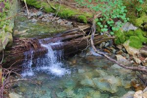 Happy Creek