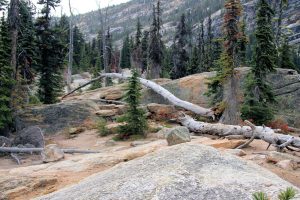 Washington Pass
