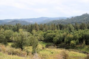 State Park