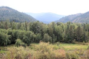 State Park