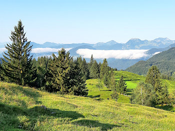 bild05