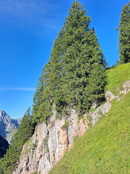 bild06