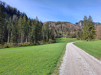 bild06