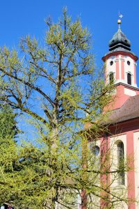 Schlosskirche Sankt Marien Mainau