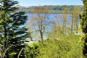 Blick auf den Bodensee
