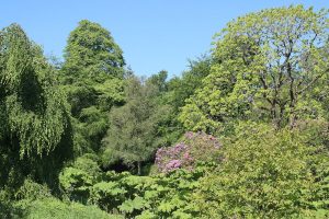 Landschaftspark des Florence Court