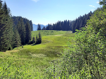 bild10