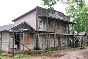 Hillbillies Bed & Breakfast Inn aus den 1920er Jahren