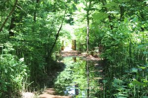 Überschwemmter Wanderweg im Canyon