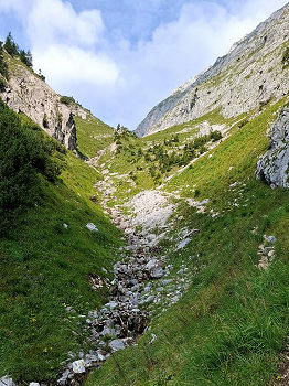 bild12