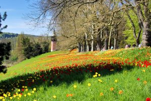 Blumenmeer, im Hintergrund der Schwedenturm