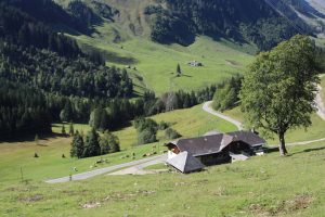 Auf der Panoramastrasse „Glaubenbielen“