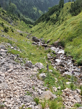 bild13