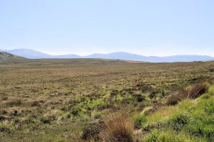 Wild Nephin National Park