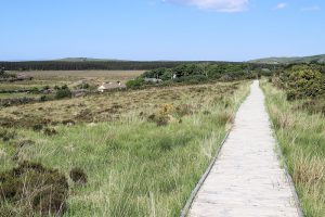Wild Nephin National Park