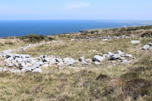 Céide Fields, freigelegte Mauern