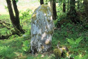 Der „Falsche Mann“, ein stehender Stein aus Granit aus der Bronzezeit mit einer bemerkenswerten Quarzader, die durch sein Zentrum verläuft. Das Monument wurde wahrscheinlich vor etwa 4000 Jahren errichtet.