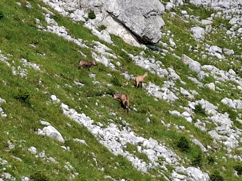 bild17