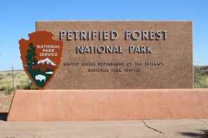 Petrified Forest Nationalpark