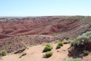 Painted Desert