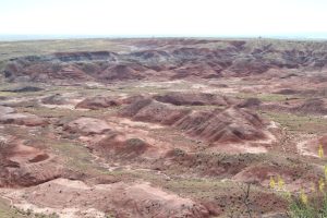 Painted Desert