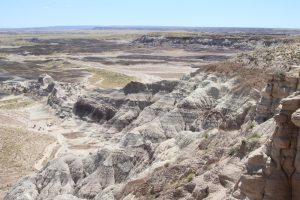 Blue Mesa