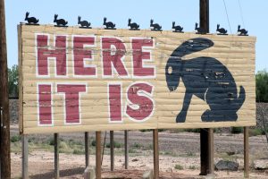 Jackrabbit Trading Post
