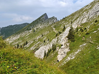 bild19