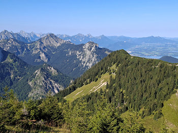 bild19
