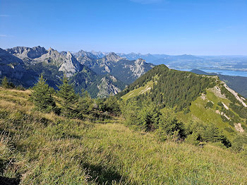 bild20