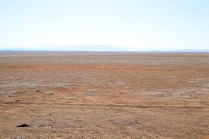 Fahrt durch die Wüste